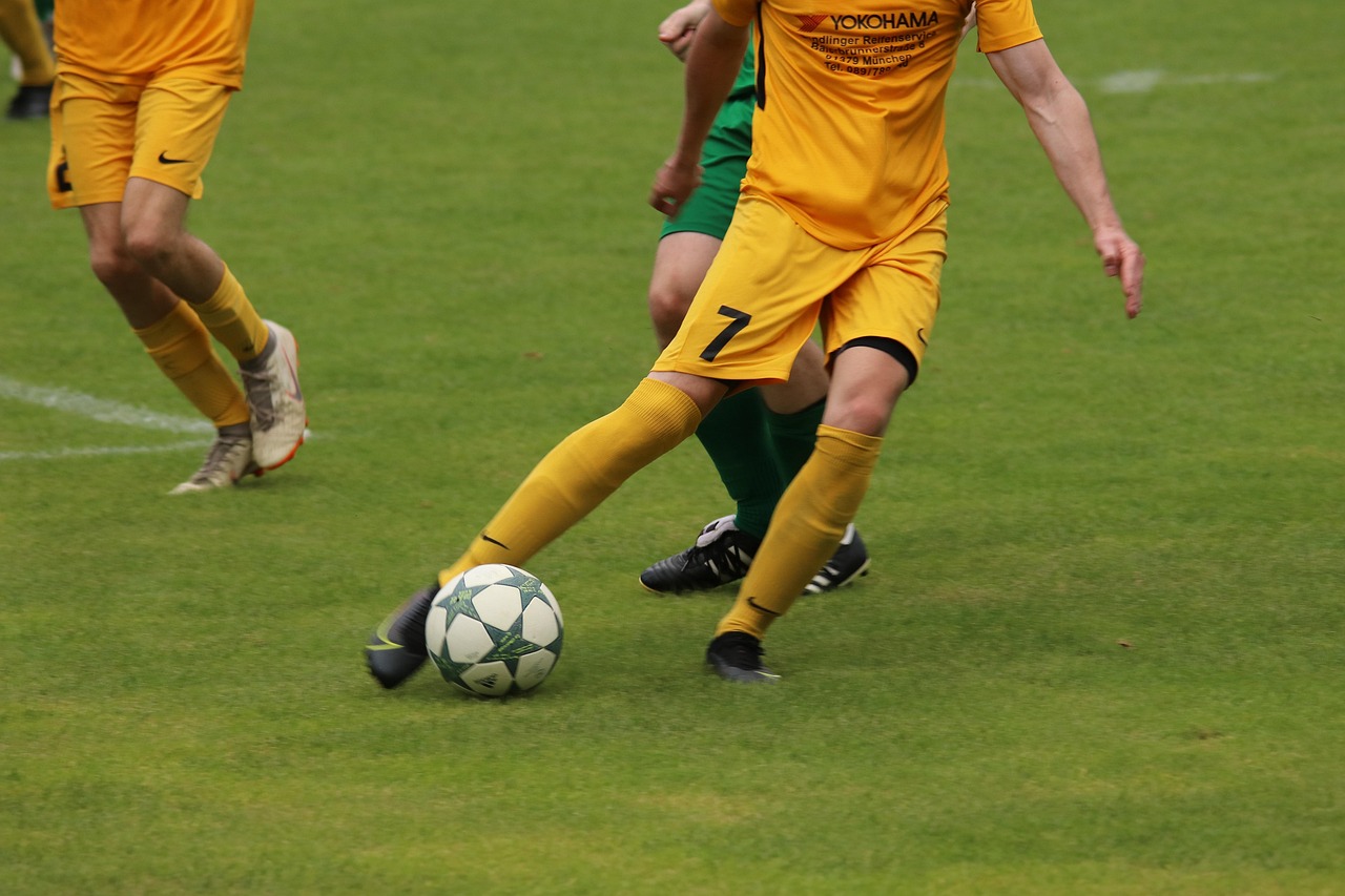 羽坛新人激 羽坛新人激