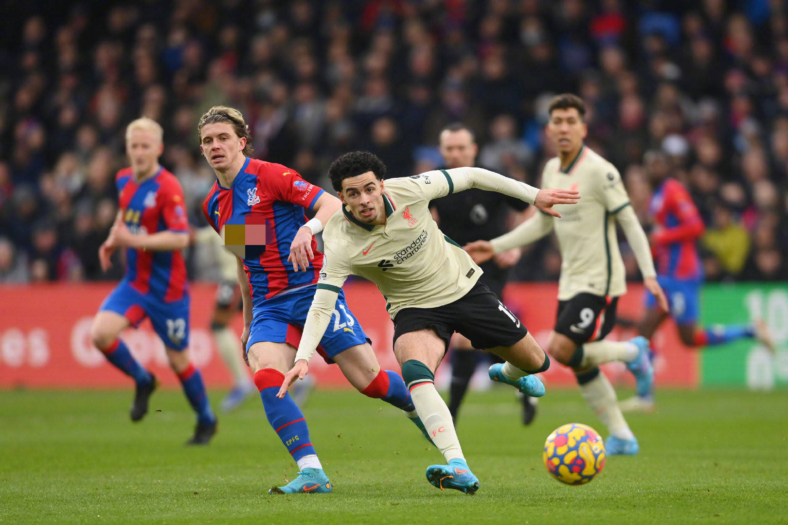 为何如此引 为何如此引