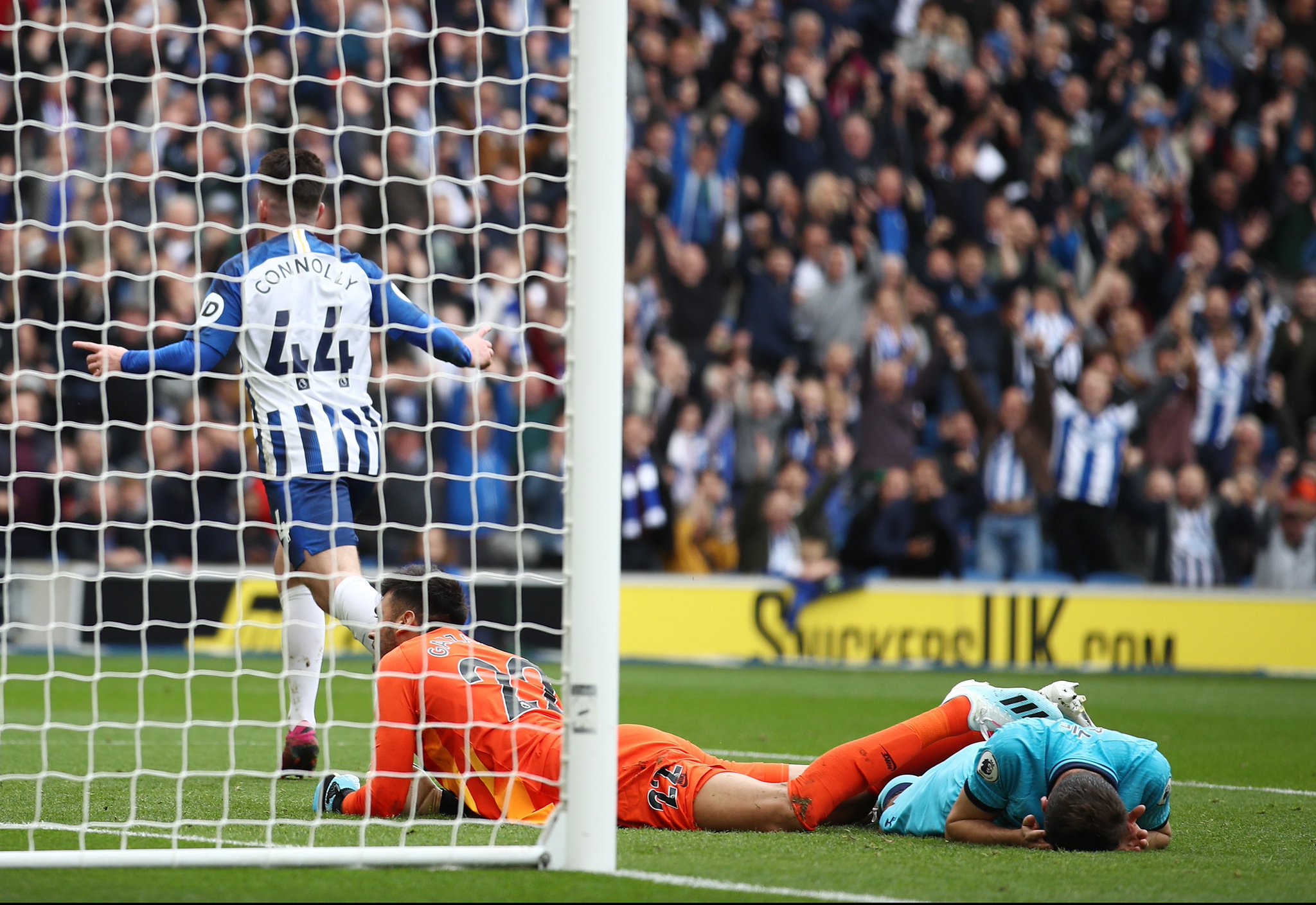 埃弗顿在这 埃弗顿在这